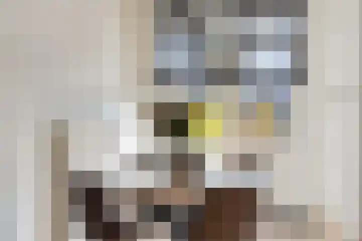Braambos 17 Noordwijkerhout thumbnail 19