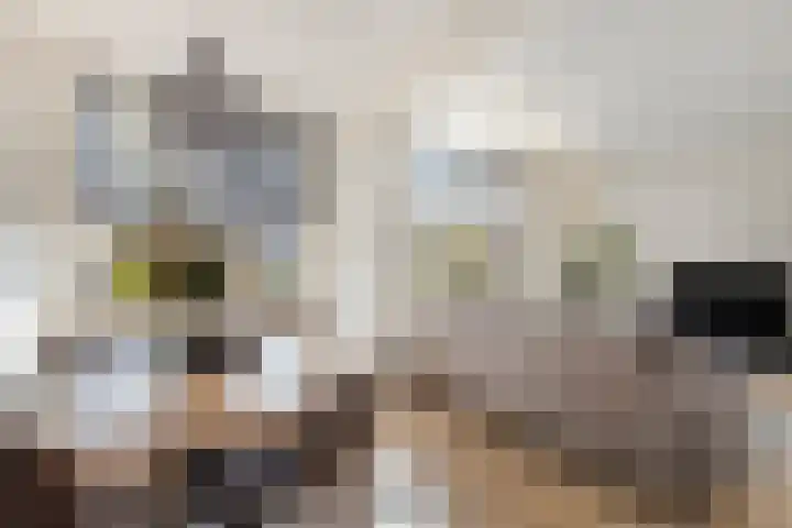 Braambos 17 Noordwijkerhout thumbnail 20