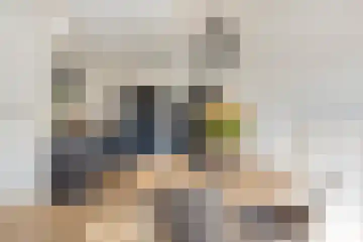 Braambos 17 Noordwijkerhout thumbnail 21