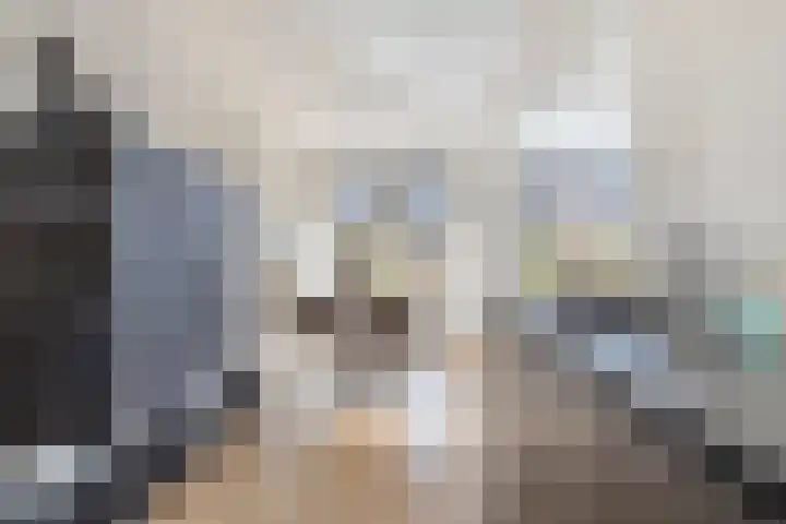 Braambos 17 Noordwijkerhout thumbnail 24