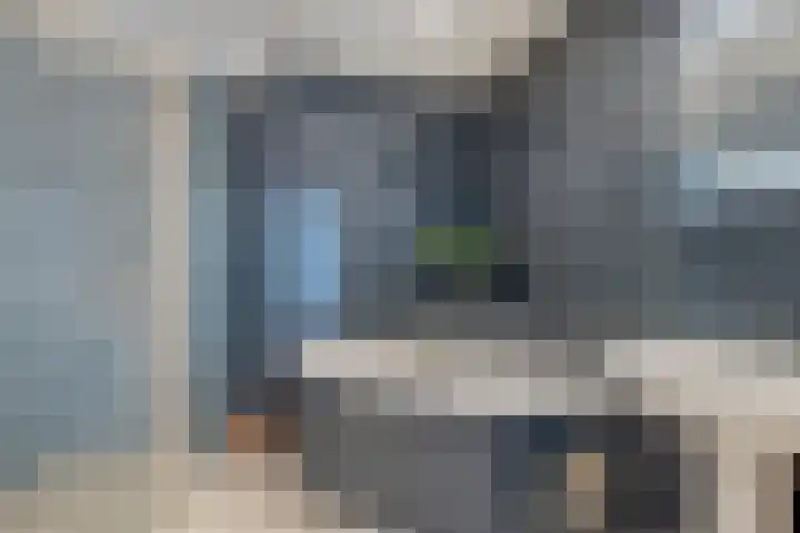 Braambos 17 Noordwijkerhout thumbnail 29