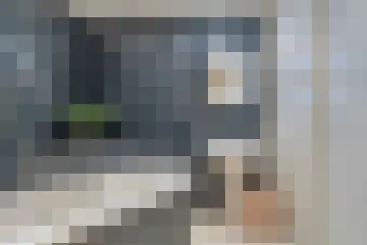 Braambos 17 Noordwijkerhout thumbnail 30