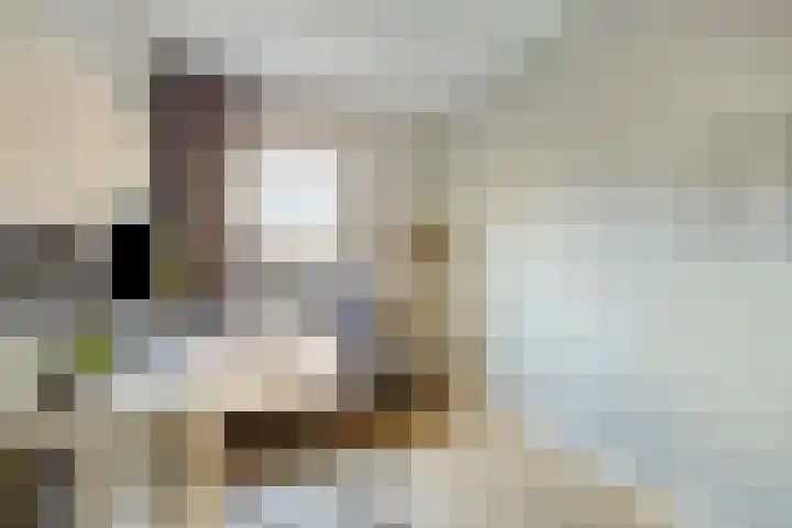 Braambos 17 Noordwijkerhout thumbnail 32