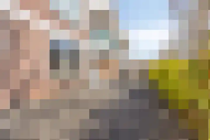 Braambos 17 Noordwijkerhout thumbnail 34