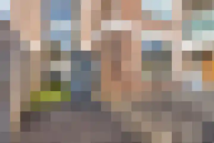 Braambos 17 Noordwijkerhout thumbnail 35