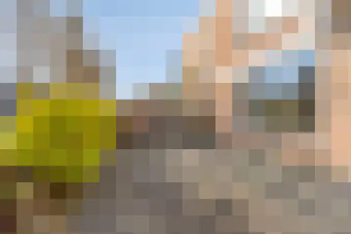 Braambos 17 Noordwijkerhout thumbnail 36