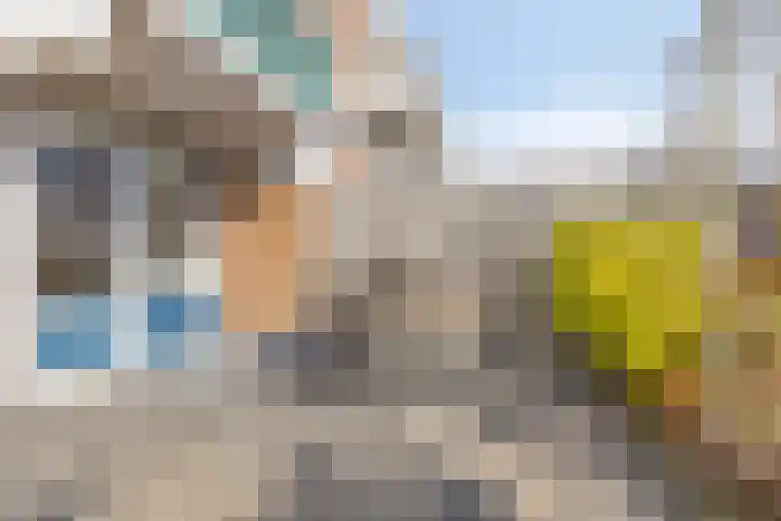 Braambos 17 Noordwijkerhout thumbnail 37