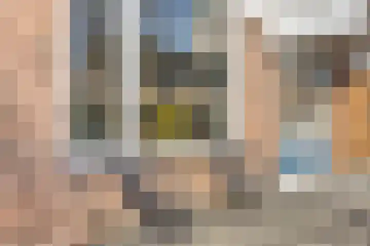 Braambos 17 Noordwijkerhout thumbnail 38