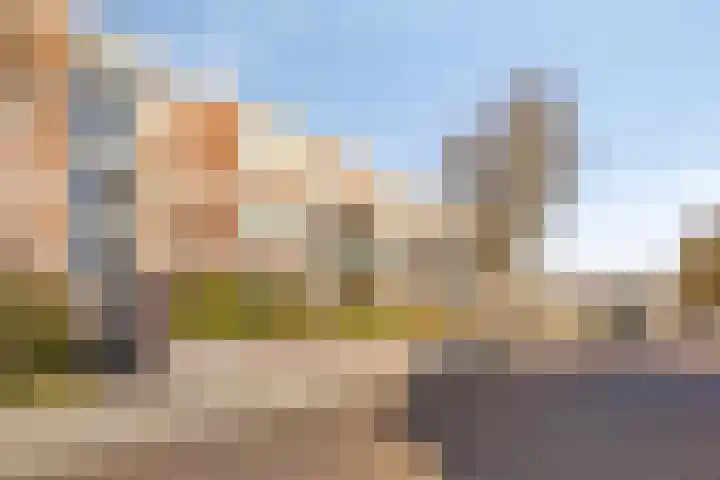 Braambos 17 Noordwijkerhout thumbnail 39