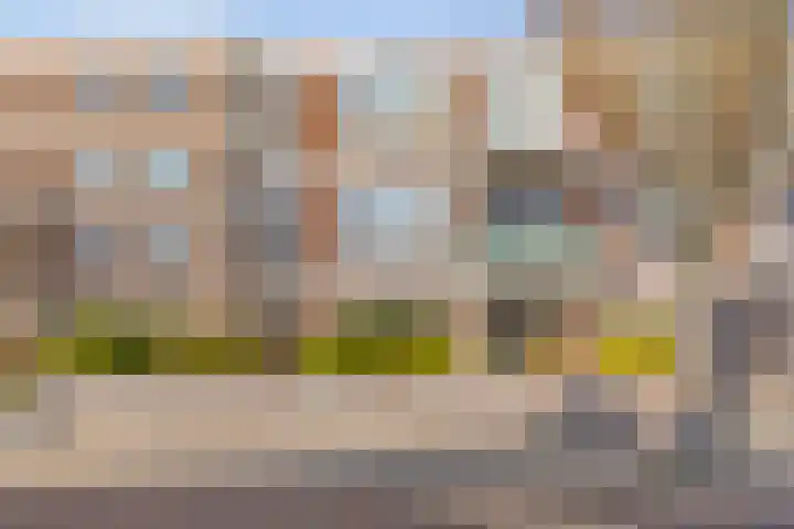 Braambos 17 Noordwijkerhout thumbnail 40