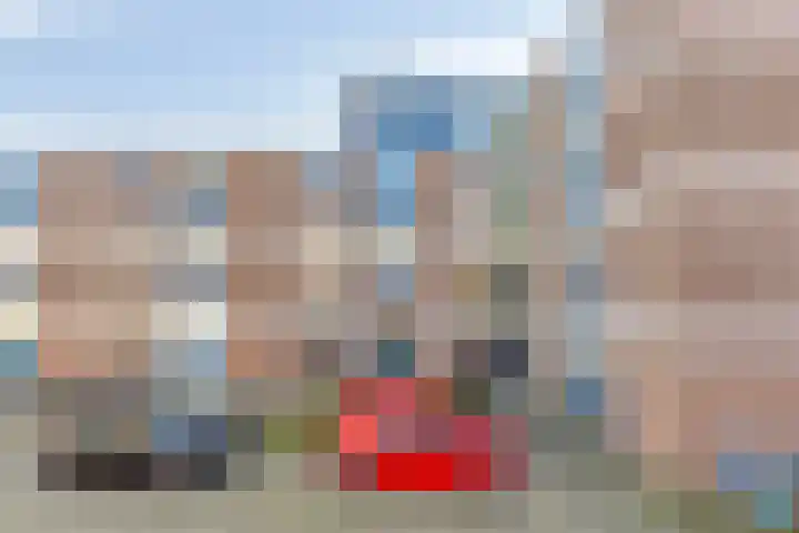 Braambos 17 Noordwijkerhout thumbnail 41