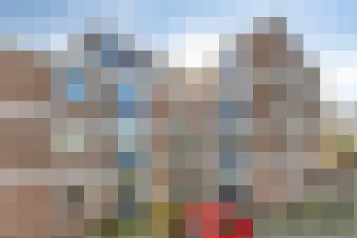 Braambos 17 Noordwijkerhout thumbnail 42