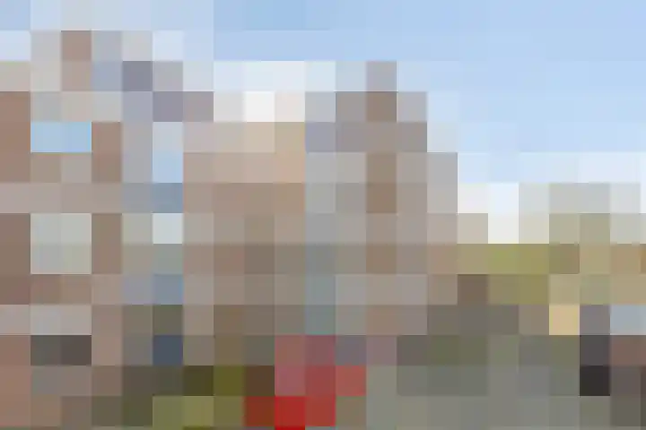 Braambos 17 Noordwijkerhout thumbnail 43