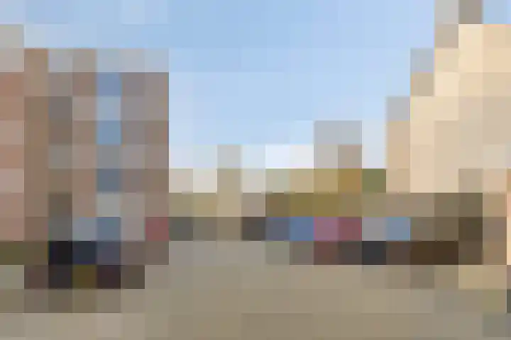 Braambos 17 Noordwijkerhout thumbnail 46