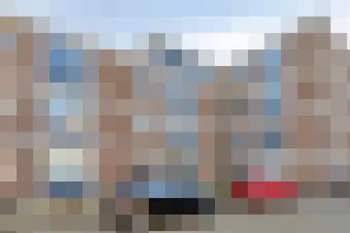 Braambos 17 Noordwijkerhout thumbnail 5