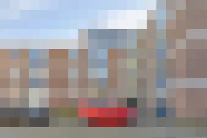 Braambos 17 Noordwijkerhout thumbnail 6