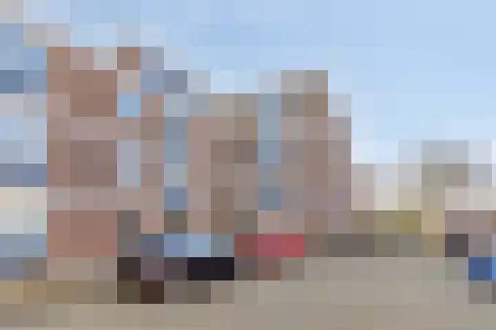 Braambos 17 Noordwijkerhout thumbnail 7