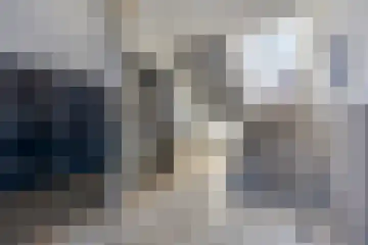 Braambos 17 Noordwijkerhout thumbnail 8
