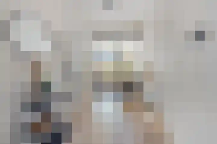 Braambos 17 Noordwijkerhout thumbnail 9