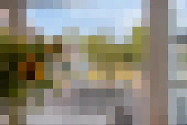 Braambos 18 Westerhoven thumbnail 11