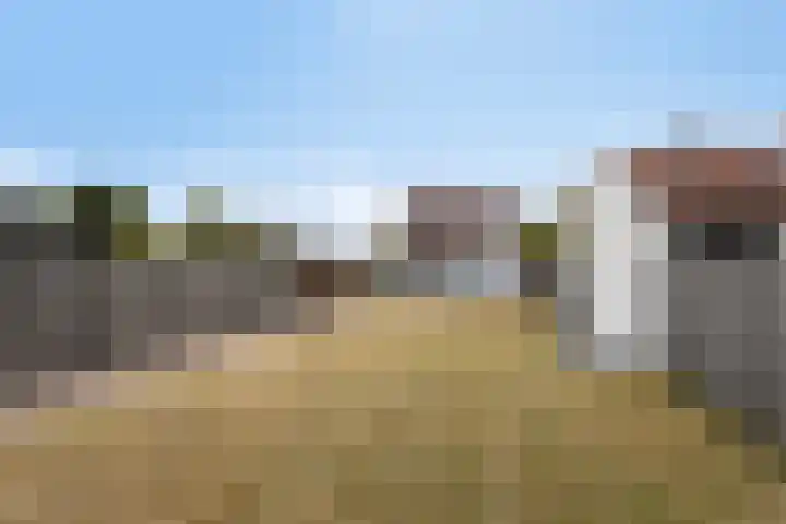 Braambos 18 Westerhoven thumbnail 30