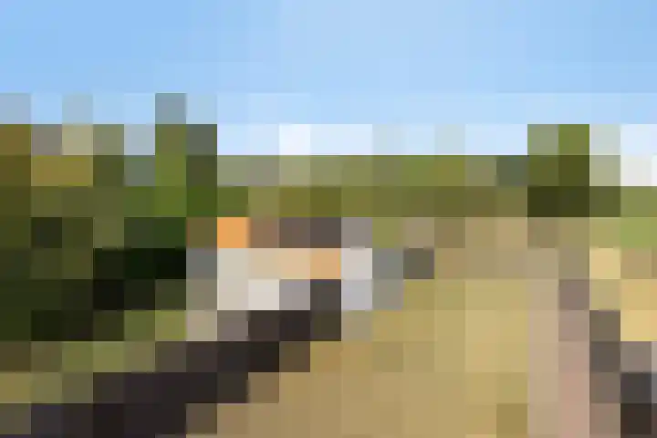 Braambos 18 Westerhoven thumbnail 32