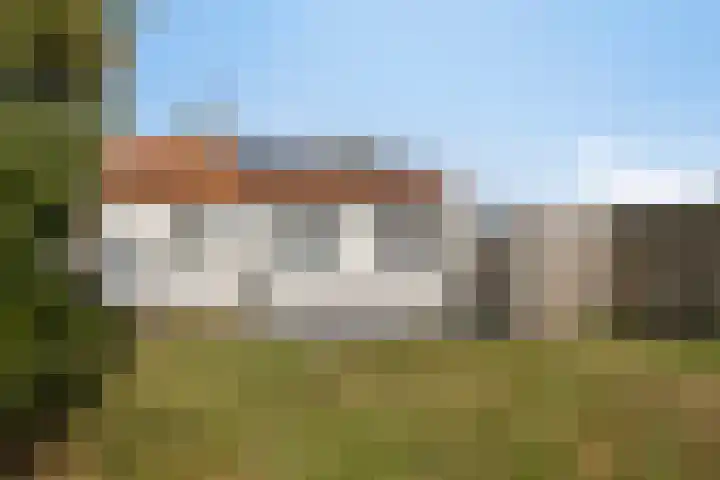 Braambos 18 Westerhoven thumbnail 35