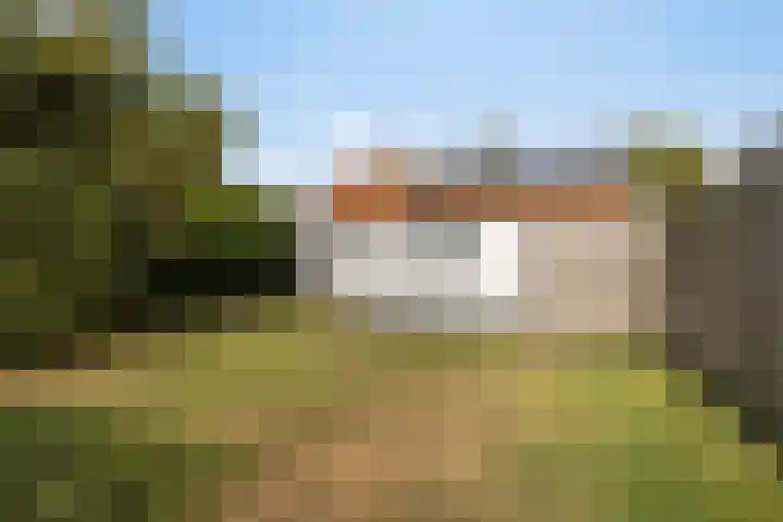 Braambos 18 Westerhoven thumbnail 36
