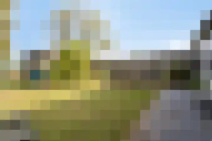 Braambos 18 Westerhoven thumbnail 37