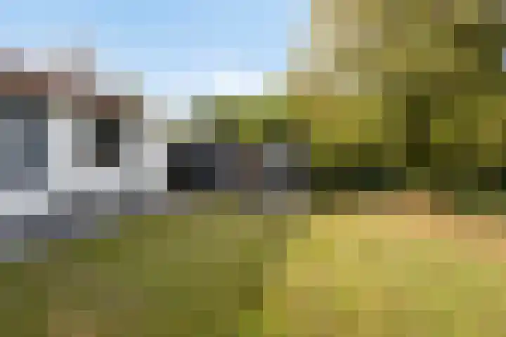 Braambos 18 Westerhoven thumbnail 39