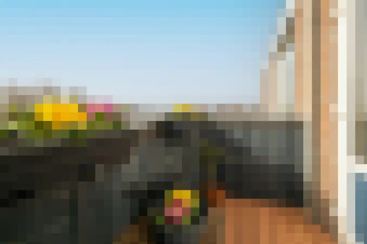 Braambos 7 Noordwijkerhout thumbnail 11
