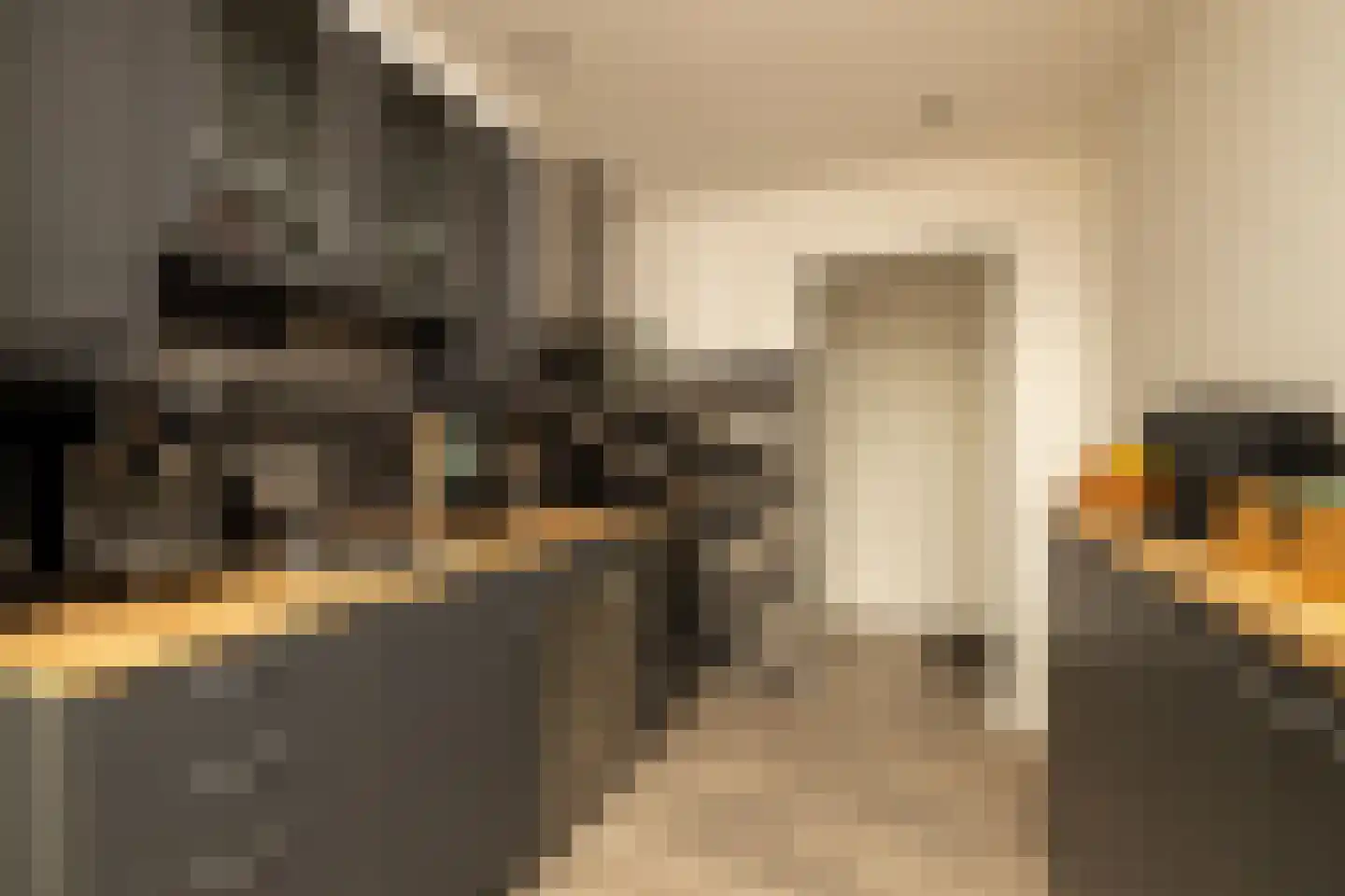 Braambos 7 Noordwijkerhout thumbnail 14