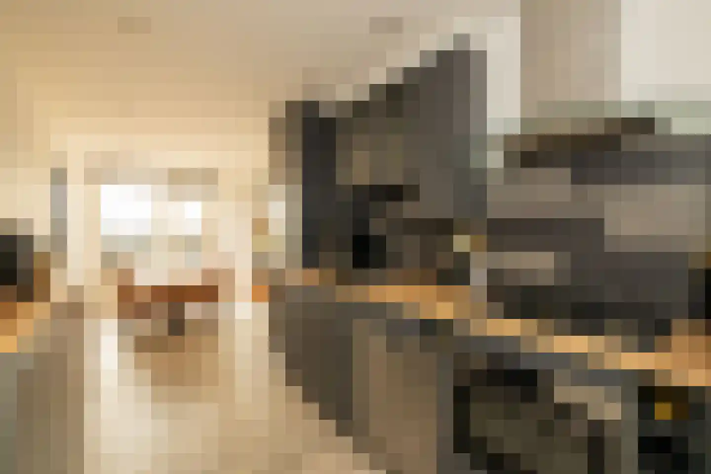 Braambos 7 Noordwijkerhout thumbnail 15