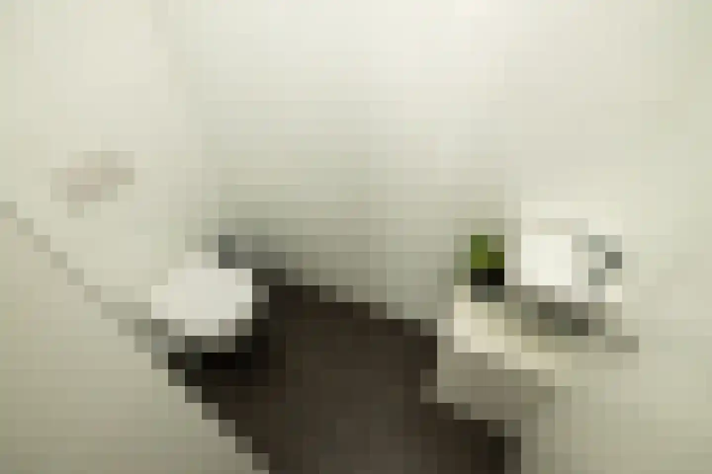 Braambos 7 Noordwijkerhout thumbnail 24