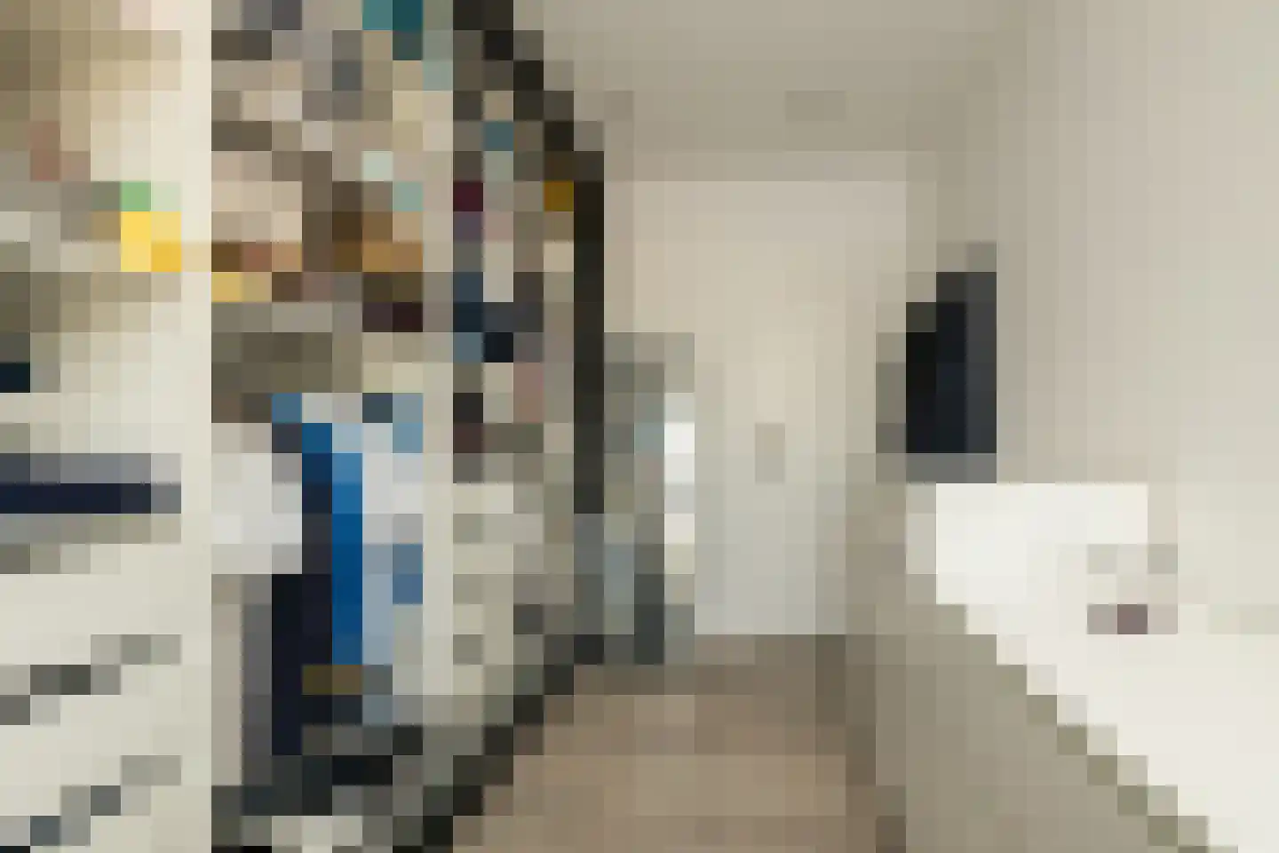 Braambos 7 Noordwijkerhout thumbnail 26