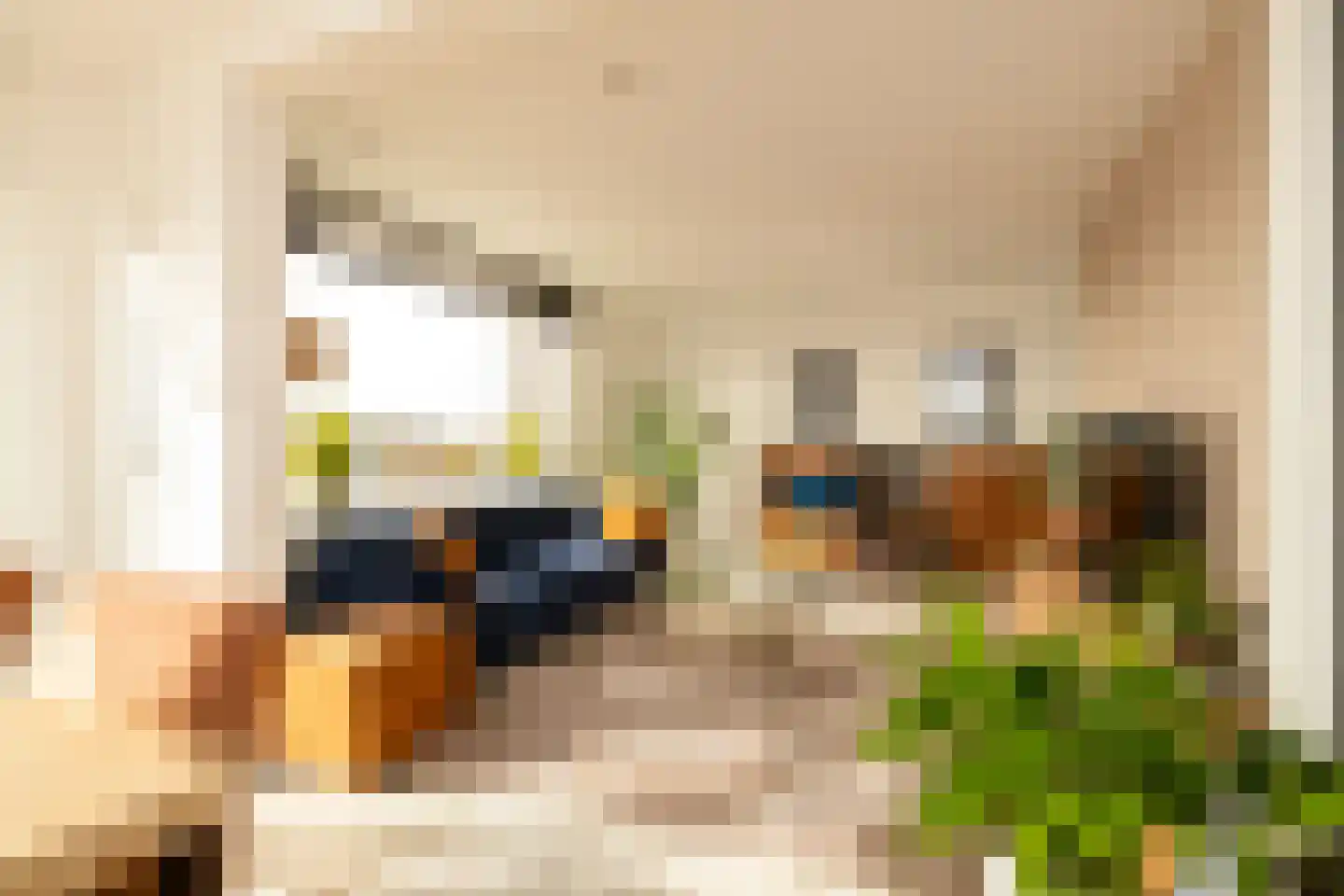 Braambos 7 Noordwijkerhout thumbnail 5