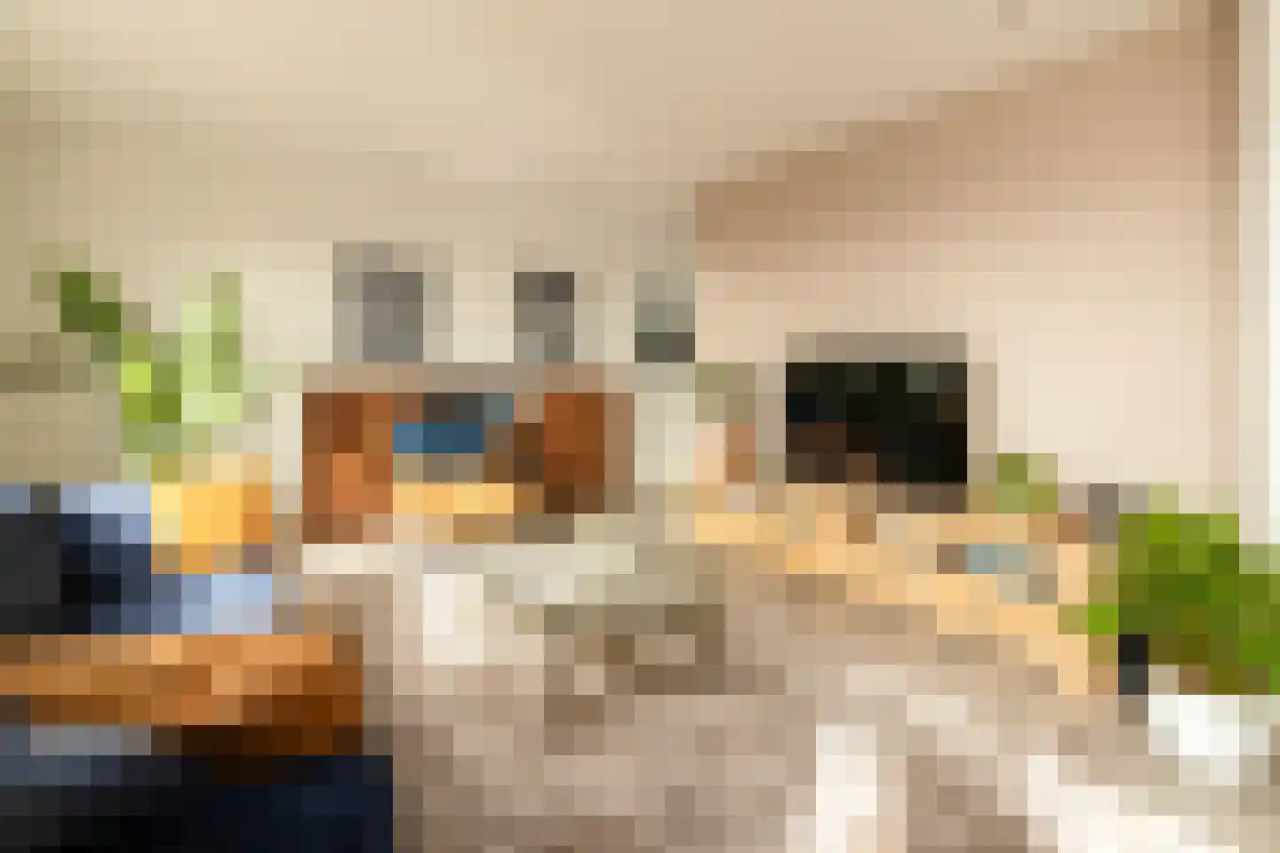 Braambos 7 Noordwijkerhout thumbnail 6