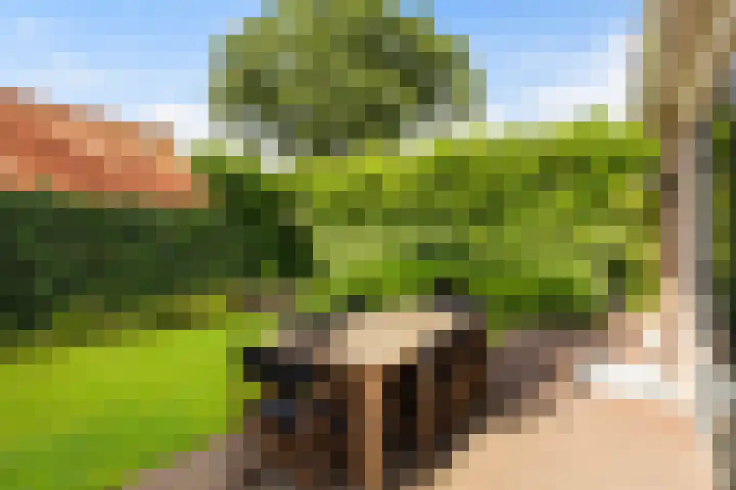 Braamduin 8 Soest thumbnail 27