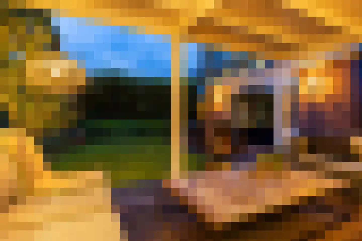 Braamduin 8 Soest thumbnail 28