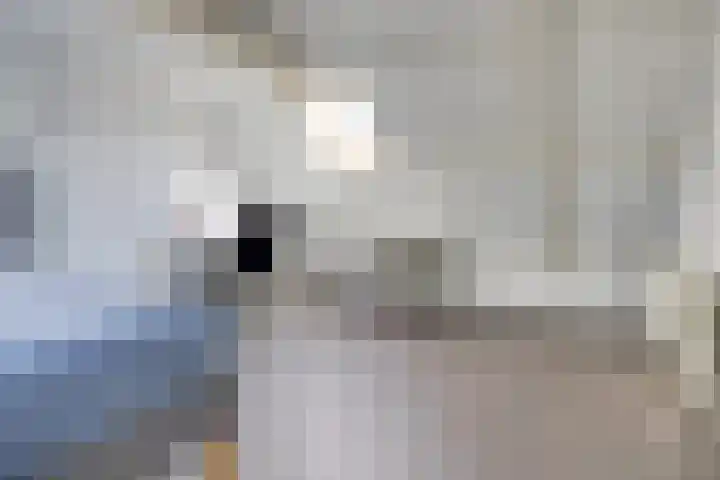 Braamgaarde 20 Nieuwegein thumbnail 26