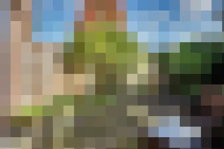 Braamgaarde 20 Nieuwegein thumbnail 28