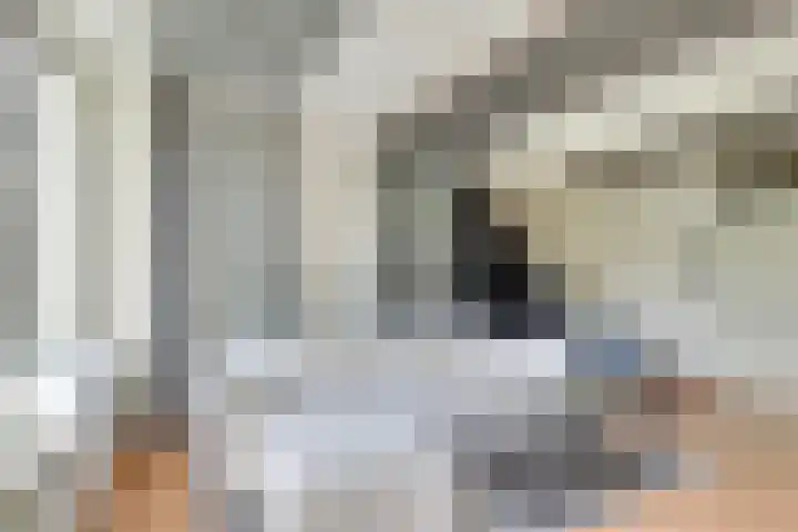 Braamgaarde 20 Nieuwegein thumbnail 7