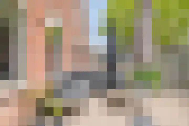 Braamgaarde 59 Nieuwegein thumbnail 20