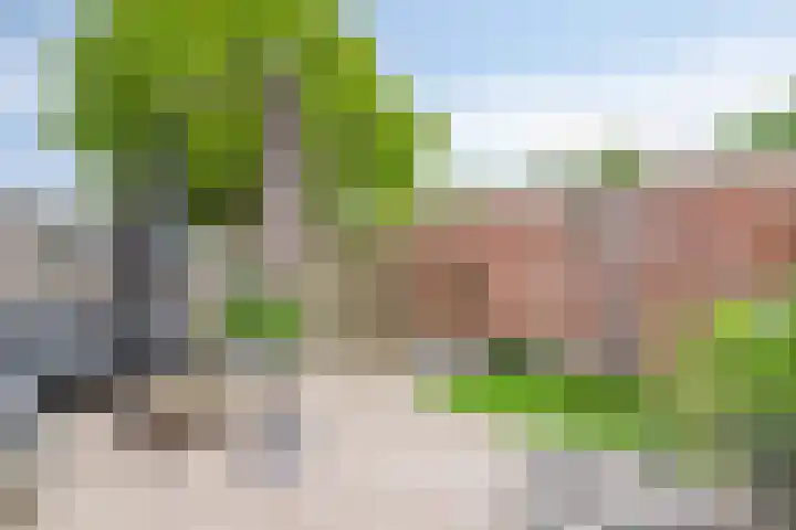 Braamgaarde 59 Nieuwegein thumbnail 21