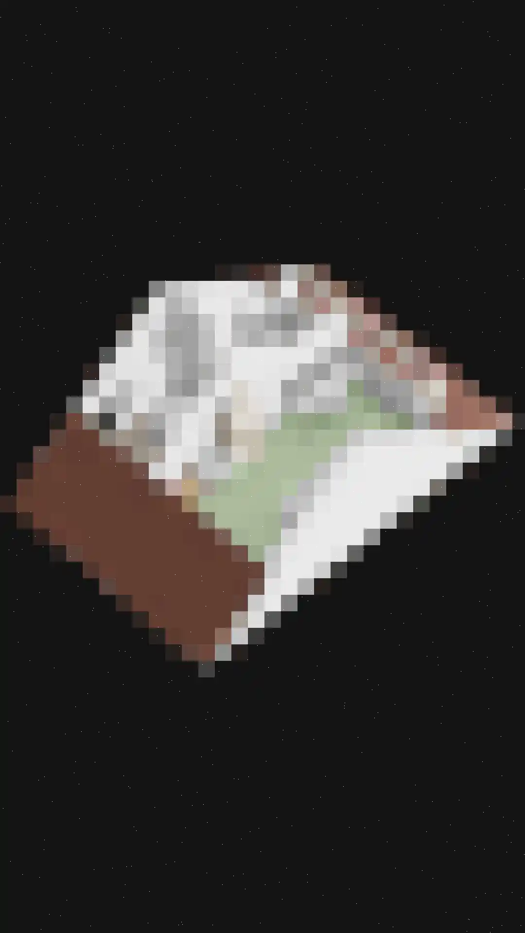 Braamheuvel 22 Best thumbnail 16