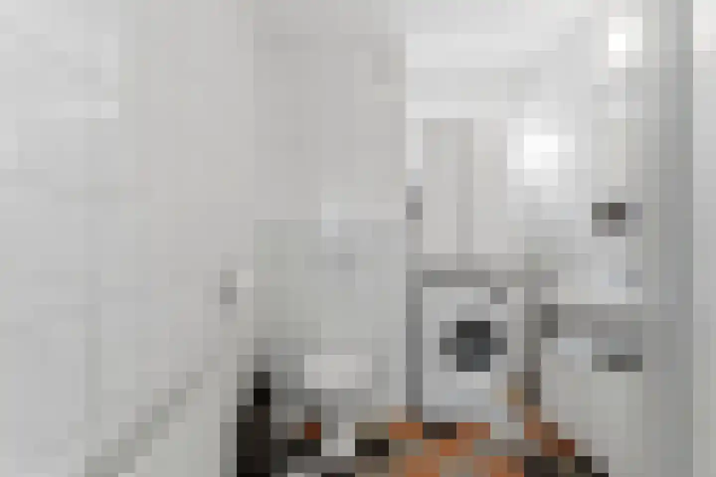 Braamhof 11 Nijmegen thumbnail 23