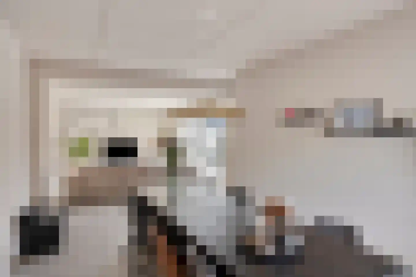 Braamhof 4 Nijmegen thumbnail 17