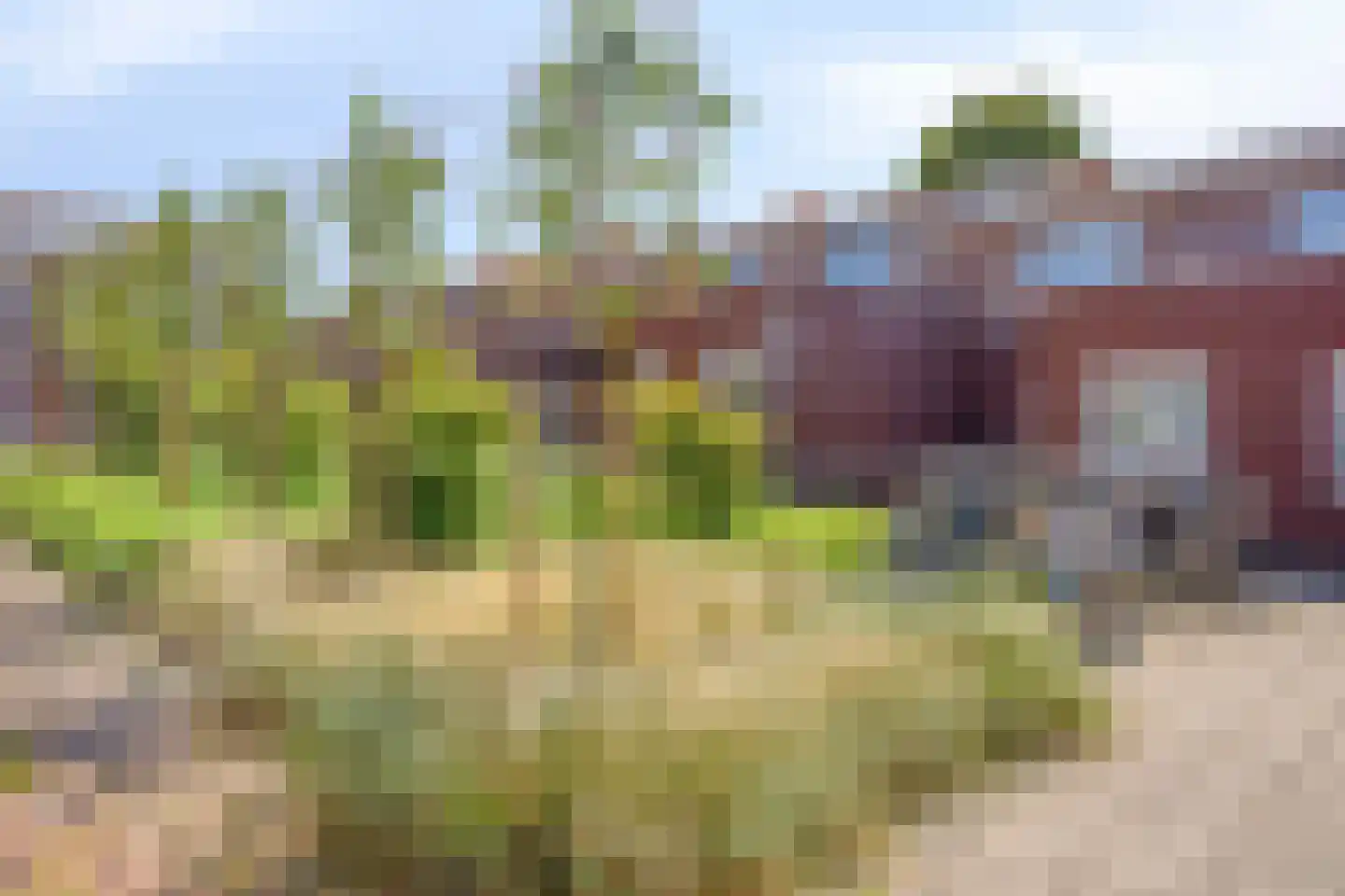 Braamhof 4 Nijmegen thumbnail 37