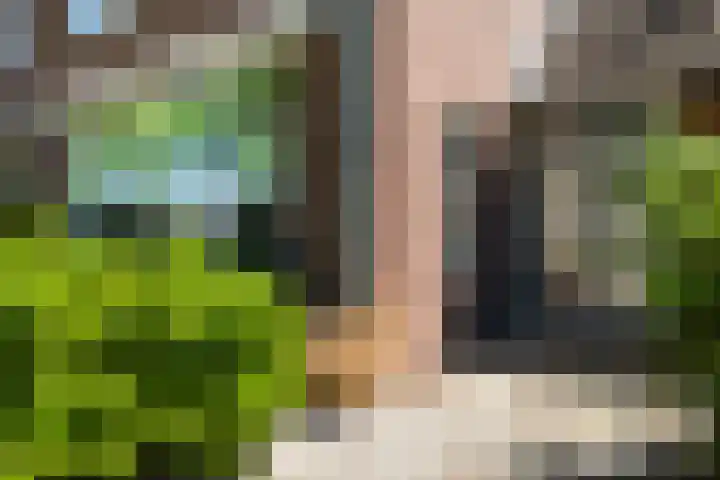 Braamhorst 50 Alphen aan den Rijn thumbnail 10