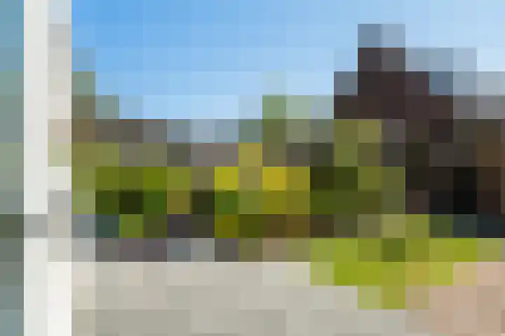 Braamhorst 50 Alphen aan den Rijn thumbnail 38